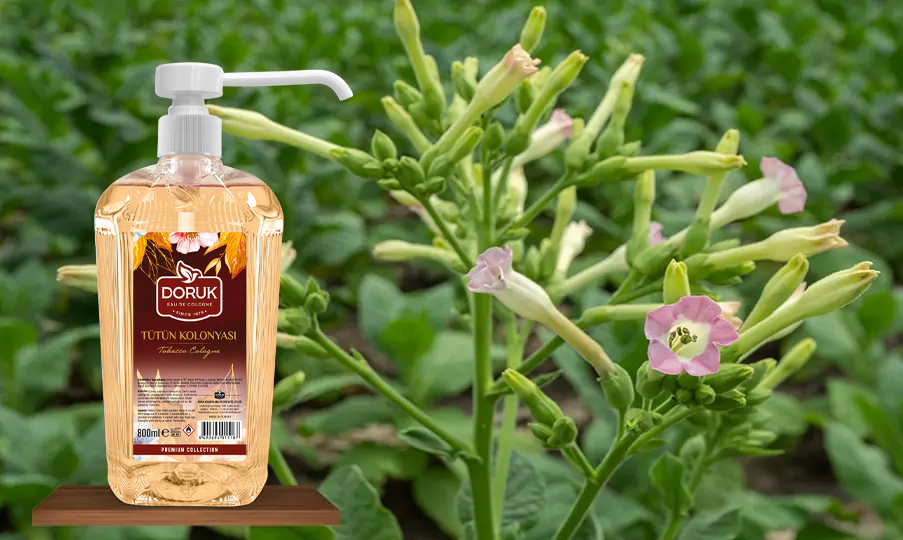 Tütün Kolonyası 800 ML Püskürtmeli